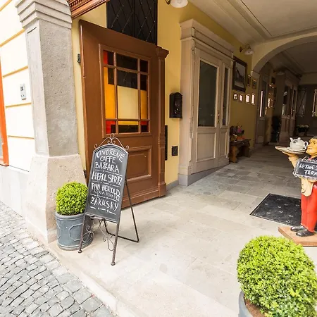 Dom Berg Appartement