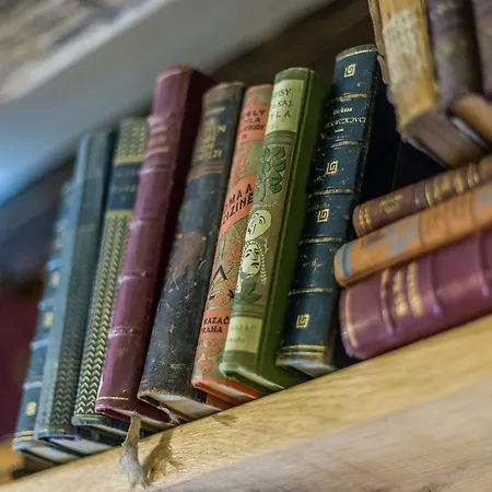 Appartement Dom Berg *