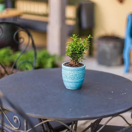 Dom Berg Appartement Banská Štiavnica