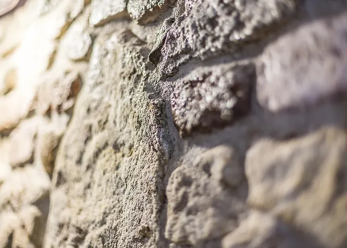 Dom Berg Διαμέρισμα